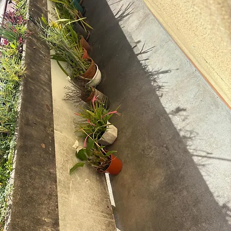Alojamento de Acomodação e Pequeno-almoço Residencial Almir Estarreja